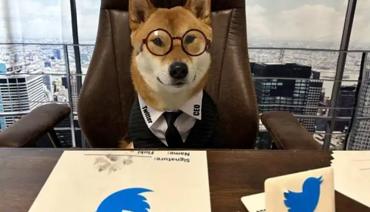 Twitter को मिला नया CEO, Elon Musk ने बताया दूसरों से बेहतर