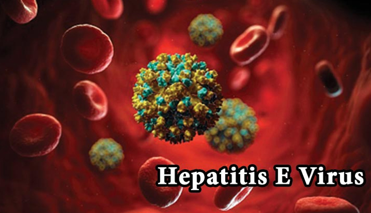 world hepatitis day,different types of viral hepatitis,hepatitis,Health tips,fitness tips