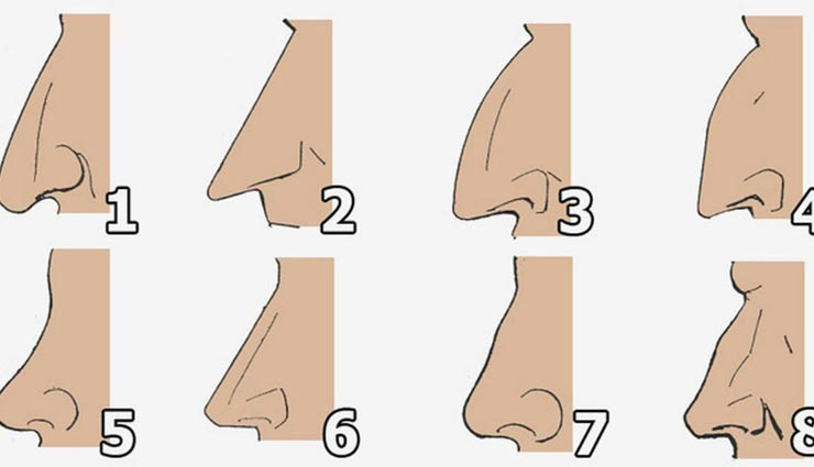 astrology tips,astrology tips in hindi,personality by nose,nose of men