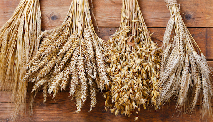 rye grain health benefits,rye bread nutritional advantages,rye flour and its uses,rye fiber for digestive health,rye anti-aging properties,rye and kidney-friendly diet,rye for heart health,rye impact on diabetes,rye role in cancer prevention,rye potential in epigenetics