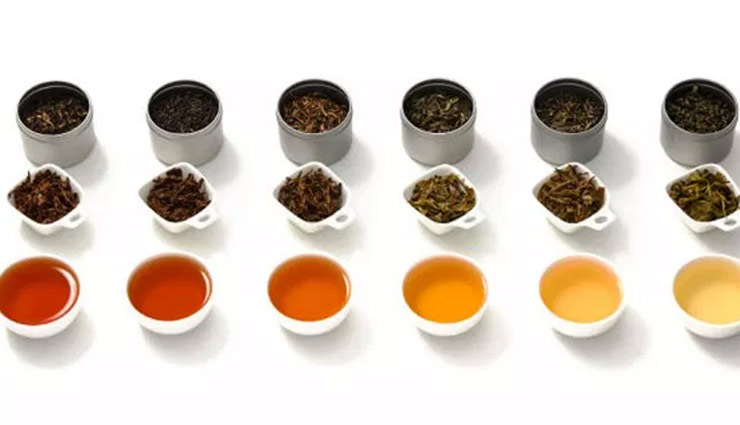 types of tea,tea to lose weight,weight lose tips,Health tips