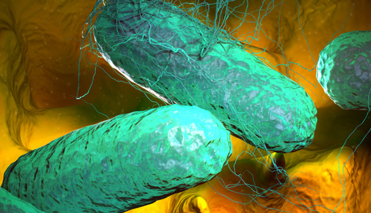 fascinating diseases that you can smell,diseases that you can smell,diabetic ketoacidosis,maple syrup urine disease,Migraine,arsenic poisoning,phenylketonuria,typhoid fever,narcolepsy,bacterial infection,schizophrenia,parkinsons disease,Health,Health tips