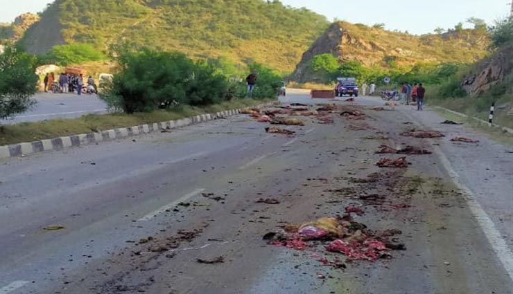 news,latest news,road accident,udaipur,sheeps killed on gogunda highway ,न्यूज़, लेटेस्ट न्यूज़, सड़क हादसा, उदयपुर, हादसे में 100 से अधिक भेड़ों की मौत