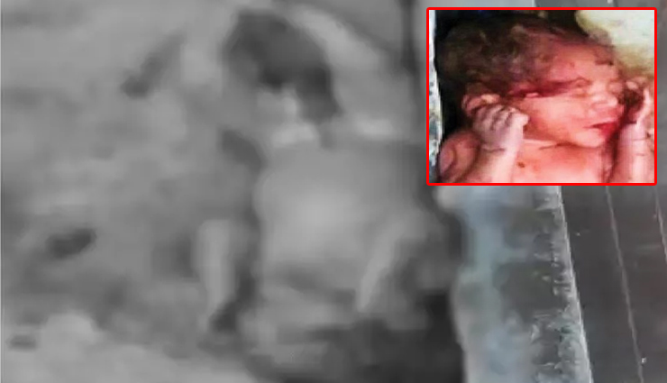 
Udaipur News: मानवता हुई शर्मसार, 7 फ़ीट ऊंची दीवार से बाथरूम में फेंका नवजात को