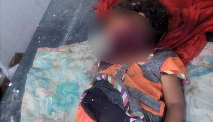 उदयपुर / 4 साल की बच्ची को गर्दन से पकड़कर उठा ले गया पैंथर, 3 घंटे बाद मिला शव