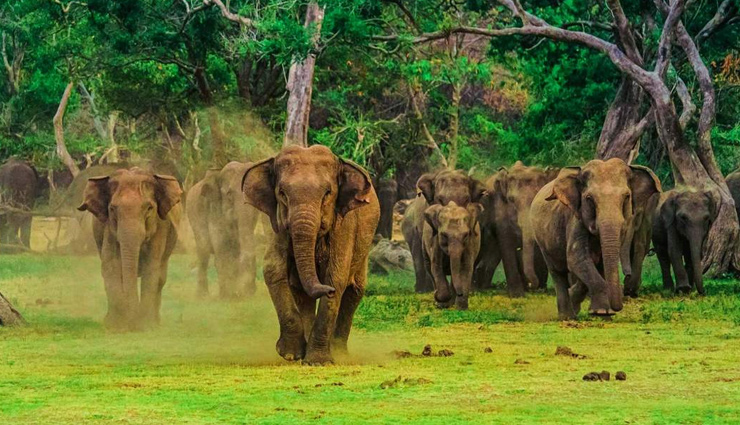 sri lanka,tourist destinations in sri lanka,sri lanka tourist places,holidays in sri lanka,travel in sri lanka