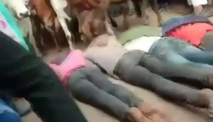 ujjain,badnagar,cow superstitious,diwali,dipawali,ujjain,madhya pradesh,weird news in hindi