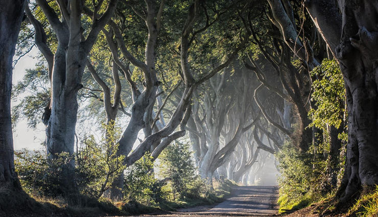 uk tourist attractions,beautiful places in the uk,uk sightseeing,uk tourism,must-visit destinations in the uk,best places to visit in the uk,uk countryside,uk coastline,uk national parks,uk historic sites,uk architecture,uk gardens,uk culture,uk festivals,uk events,uk museums,uk art galleries,uk food and drink,uk wildlife,uk outdoor activities