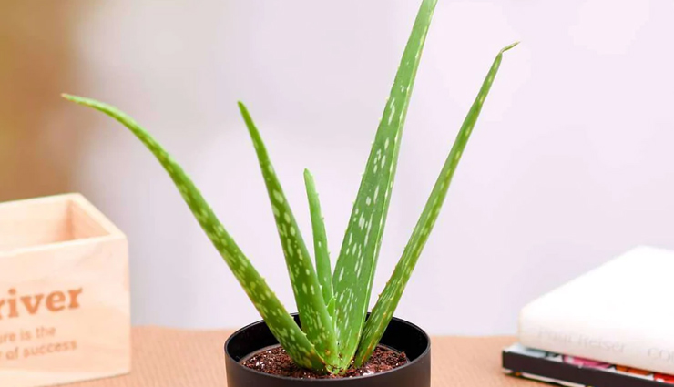 10 effective home remedies for stomach ulcers,best natural ways to cure stomach ulcers,how to relieve stomach ulcer symptoms at home,stomach ulcer treatment using natural remedies,home remedies to soothe stomach ulcer pain