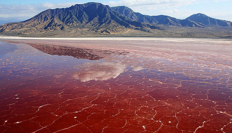 lake natron,slope point,underwater park,christ of the abyss,the silfra rift,sea of stars,huashan mountain,the road to heaven,crooked forest,pink sands beach,richat structure,unbelievable places in the world,places in the world