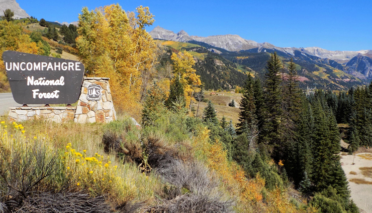 forest camping,forest camping across the world,world tourism,holidays,travel guide