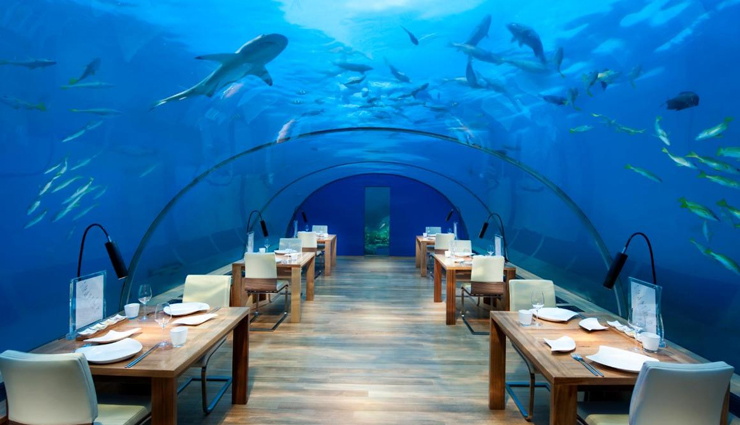 समुद्री जीवन को करीब से देखने का मौका देते हैं ये 7 खूबसूरत अंडरवाटर होटल्स