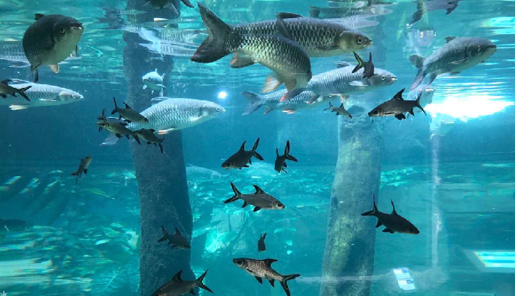 malaysia travel experiences,memorable activities in malaysia,things to do in malaysia,must-try adventures in malaysia,malaysian cultural activities,top tourist attractions in malaysia,unique experiences in malaysia,outdoor activities in malaysia,malaysia travel guide,unforgettable moments in malaysia