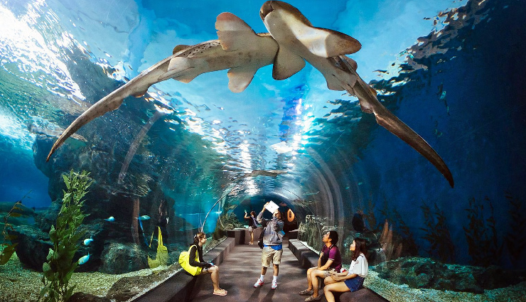 pattaya tourist attractions,top places to visit in pattaya,pattaya travel guide,explore pattaya landmarks,best tourist spots pattaya,pattaya sightseeing destinations,popular attractions in pattaya,pattaya travel tips,pattaya vacation hotspots,hidden gems in pattaya