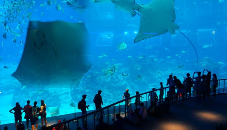 tourist places in singapore,must-visit places in singapore,top attractions in singapore,singapore travel guide,singapore sightseeing spots,things to do in singapore,best places to visit in singapore,singapore tourist spots,iconic landmarks in singapore,singapore travel itinerary,singapore must-see attractions,popular destinations in singapore,singapore travel tips,singapore exploration guide,singapore vacation spots.