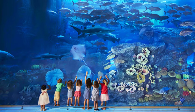 dubai attractions,things to do in dubai with children,kid-friendly activities in dubai,dubai time,img worlds of adventure,dubai parks and resorts,legoland dubai,legoland water park,motiongate,bollywood park,oli oli,kidzania,dubai aquarium,underwater zoo,dubai desert,camel ride,aquaventure water park,vr park,dubai dolphinarium,ski dubai,family-friendly activities in dubai,indoor snow world