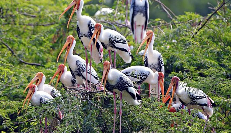 unesco world heritage sites in india,india,keoladeo national park,bodh gaya,kanchenjunga national park,jantar mantar,western ghats,nanda devi peak