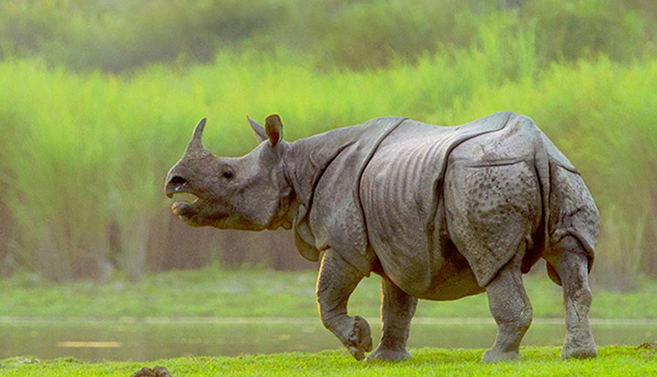 unesco world heritage sites,unesco world heritage sites in india,great himalayan national park,kaziranga national park,nanda devi and valley of flowers national park,keoladeo national park,sundarbans national park