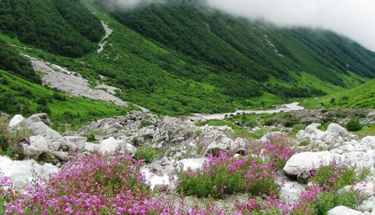 unesco world heritage sites,unesco world heritage sites in india,great himalayan national park,kaziranga national park,nanda devi and valley of flowers national park,keoladeo national park,sundarbans national park