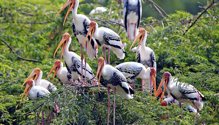 unesco world heritage sites,unesco world heritage sites in india,great himalayan national park,kaziranga national park,nanda devi and valley of flowers national park,keoladeo national park,sundarbans national park