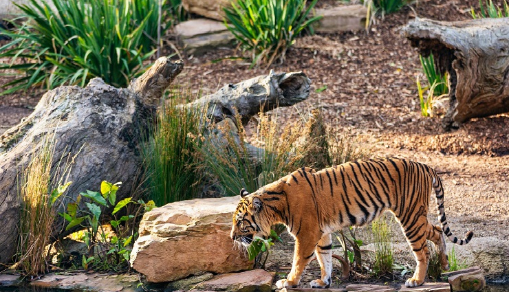 6 UNESCO World Heritage National Parks You Can Explore in India