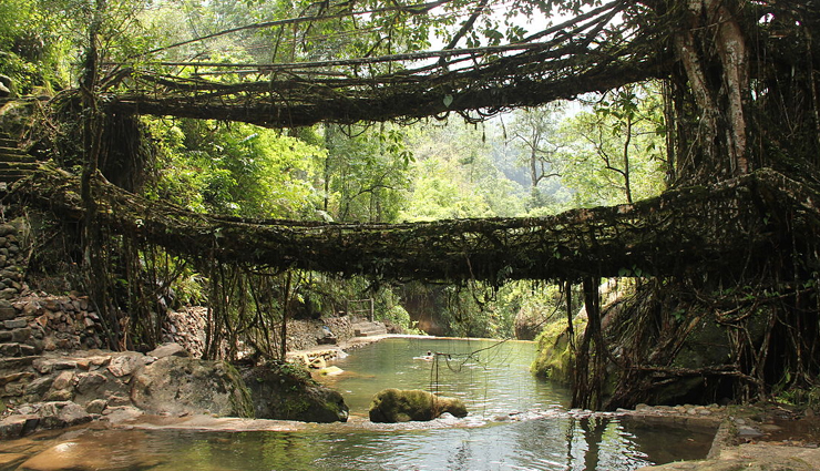 unexplored parts of india,watching rhinos in kaziranga,trekking to gorichen peak,a visit to nathu la pass,experience spirituality in tawang monastery,drive through sela pass,walking on the root bridges in cherrapunjee,india,places to visit in india
