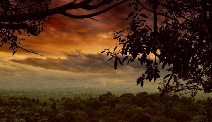 unxplored wildlife sanctuaries in india,least explored wildlife sanctuaries,wildlife sanctuaries in india,coringa wildlife sanctuary,andhra pradesh,krishna wildlife sanctuary,andhra pradesh,kumbhalgarh wildlife sanctuary,rajasthan,sita mata wildlife sanctuary,rajasthan,nagzira wildlife sanctuary,maharashtra