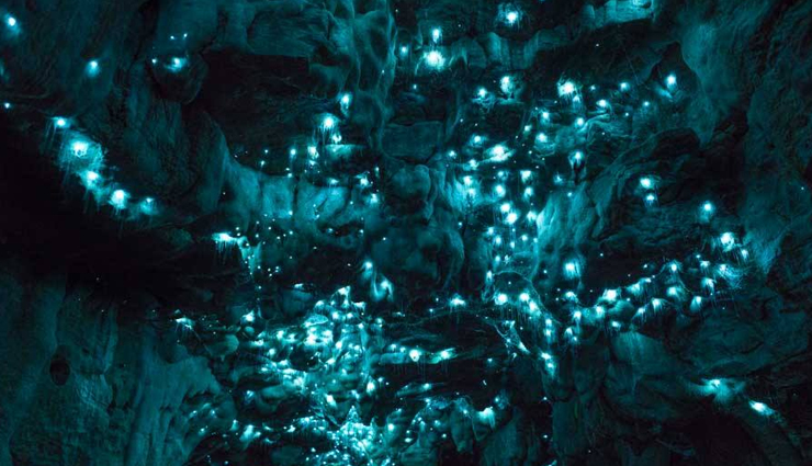 unique destinations to travel,avenue of the baobabs,madagascar,glow worm caves,new zealand,the great dune of pyla,france,ice hotel,sweden,the polar bear capital of the world,canada