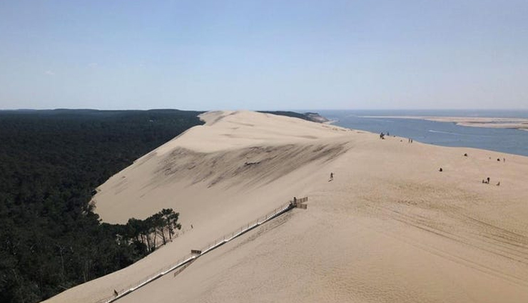 unique destinations to travel,avenue of the baobabs,madagascar,glow worm caves,new zealand,the great dune of pyla,france,ice hotel,sweden,the polar bear capital of the world,canada