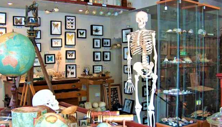 5 Most Unique Museums in India