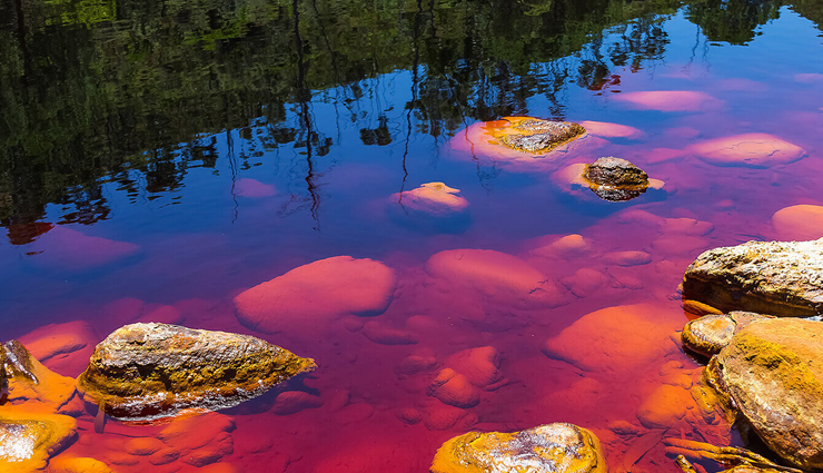 unique places to visit in the world,spotted lake of osoyoos,british columbia canada,chamarel falls and the colored earth,mauritius,rio tinto,spain,fly geyser reno,nevada,vale da lua,brazil,cano cristales,colombia