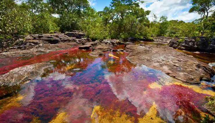 unique places to visit in the world,spotted lake of osoyoos,british columbia canada,chamarel falls and the colored earth,mauritius,rio tinto,spain,fly geyser reno,nevada,vale da lua,brazil,cano cristales,colombia
