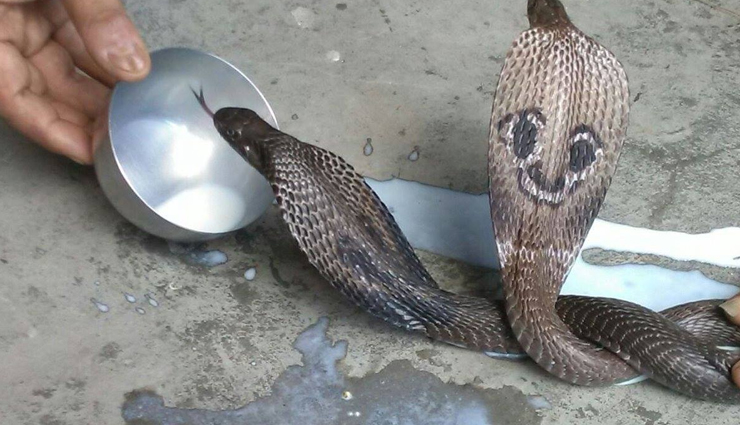 unusual festivals to enjoy in india,unusual festivals,festivals in india,india,thaipusam festival,tamil nadu,nag panchami,all over india,madai festival,chhattisgarh,sekrenyi festival,nagaland,agni keli,karnataka