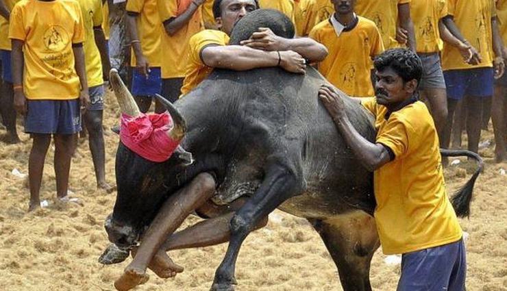 unusual festival,unusual festival in india,india,nag panchami,lathmar holi,uttar pradesh,bhagoria festival,madhya pradesh,theyyam,kerala,muharram,india,jallikattu,tamil nadu,thaipusam,tamil nadu