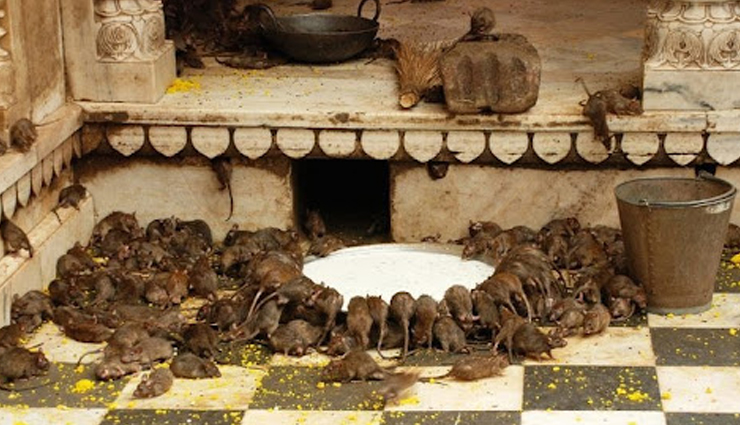 unusual places to explore in india,unusual places,india,famous places in india