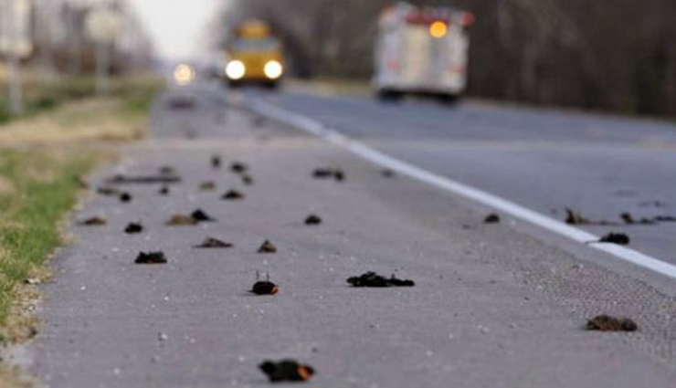 unusual places to explore in india,unusual places,india,famous places in india