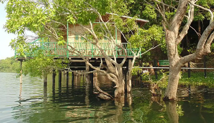 dolphins,spotting dolphins,spotting dolphins in india,tourist places in india,india tourism,travel,holidays