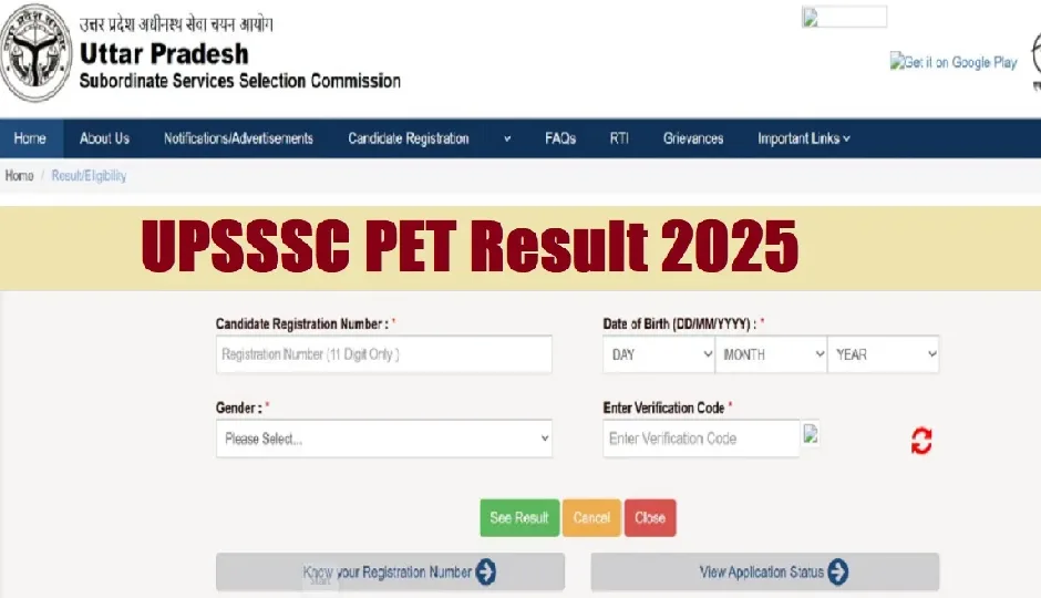 UPSSSC PET Result 2025: यूपी पीईटी रिजल्ट जारी, सीधे upsssc.gov.in से करें स्कोरकार्ड डाउनलोड UPSSSC PET Result 2025: यूपी पीईटी रिजल्ट जारी, सीधे upsssc.gov.in से करें स्कोरकार्ड डाउनलोड