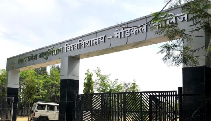 UPUMS में चाहिए जॉब तो करें आवेदन, नर्सिंग ऑफिसर के 535 पदों पर की जाएगी भर्ती