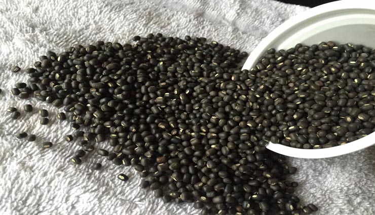 दिन के अनुसार आहार में करें दाल का चुनाव, मिलेंगे शुभ परिणाम astrology tips,astrology tips in hindi,pulses according astrology