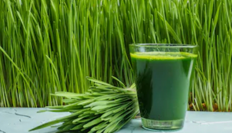 uric acid levels,food to reduce uric acid levels,Health tips,fitness tips