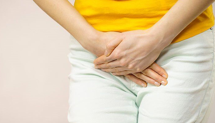 औषधीय गुणों का खजाना है अजवाइन की पत्तियां, सेवन से होते हैं ये फायदे ajwain leaves,ajwain leaves health benefits,ajwain leaves benefits,Health,Health tips