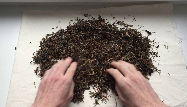 काम में ली गई चाय पत्ती के भी है कई उपयोग, जानकर आप भी रह जाएँगे हैरान 