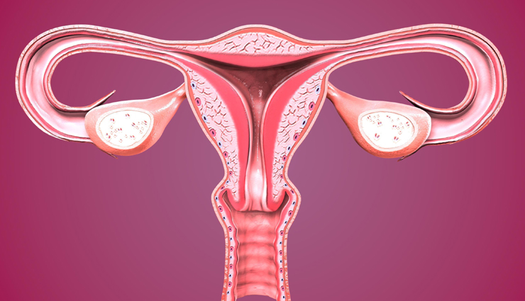 bladder cancer,symptoms of bladder cancer,bladder cancer causes,what is bladder cancer,early signs of bladder cancer,bladder cancer diagnosis,bladder cancer treatment,risk factors for bladder cancer,bladder cancer prevention,bladder cancer stages,bladder cancer prognosis,bladder cancer awareness,bladder cancer in women,bladder cancer in men,bladder cancer survival rate