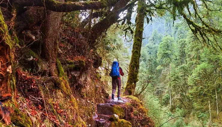 uttarakhand,national park and wildlife sanctuaries in uttarakhand,places to visit in uttarakhand,binsar wildlife sanctuary,rajaji wildlife sanctuary,corbett national park,askot sanctuary pithoragarh,govind pashu vihar wildlife sanctuary