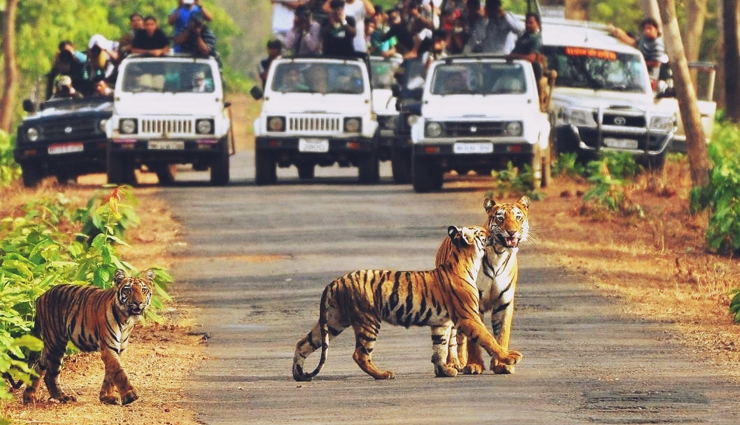 adventure activities in uttarakhand,must-try adventure activities in uttarakhand,thrilling activities in uttarakhand,best adventure activities in uttarakhand,trekking in uttarakhand,river rafting in uttarakhand,bungee jumping in uttarakhand,camping in uttarakhand,rock climbing in uttarakhand,paragliding in uttarakhand,skiing in uttarakhand,mountain biking in uttarakhand,wildlife safari in uttarakhand,snowboarding in uttarakhand,ziplining in uttarakhand