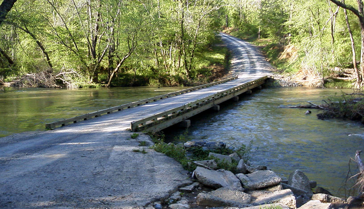 forest camping,forest camping across the world,world tourism,holidays,travel guide