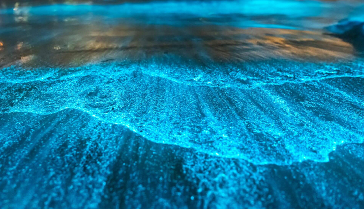 maldives,amazing places to visit,travel destinations,must-visit locations,paradise islands,tropical getaways,beach vacations,maldivian attractions,top tourist spots,stunning landscapes,breathtaking beaches,underwater beauty,diving spots,snorkeling destinations,luxury resorts,romantic escapes,cultural experiences,adventure activities,island hopping,maldives travel guide,vacation ideas