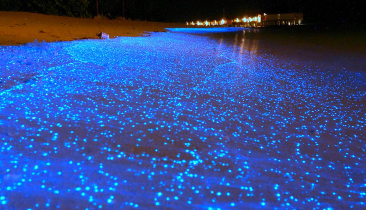 vibrant beaches,colorful beach destinations,unique beach vacations,worlds most colorful beaches,beaches with colorful sands,exotic beach getaways,vibrant coastal destinations,colorful beach escapes,rainbow-colored shores,unusual beach landscapes,traveling to vibrant beaches,stunning beach colors,beaches for a colorful vacation,multicolored sand beaches,beautifully colored coastal spots