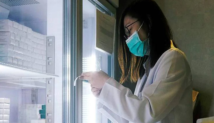 अच्छी खबर / बन गई कोरोना की वैक्सीन, बंदरों पर परीक्षण सफल, इंसानों पर ट्रायल शुरू covid-19,vaccine,monkeys,sinovac,coronavirus,chinese,biotech,report,corona,virus,coronavirus,health news